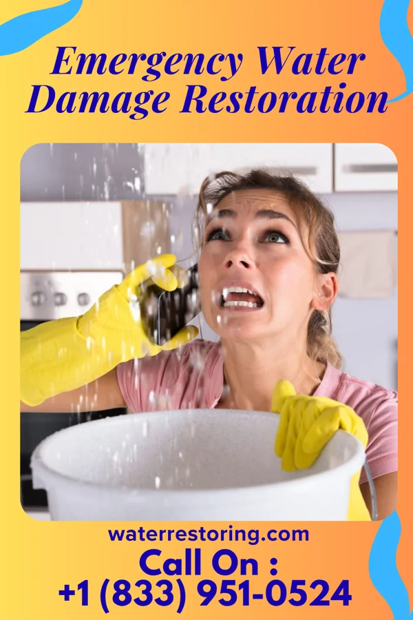 Emergency Water Damage Restoration in Metaline, WA