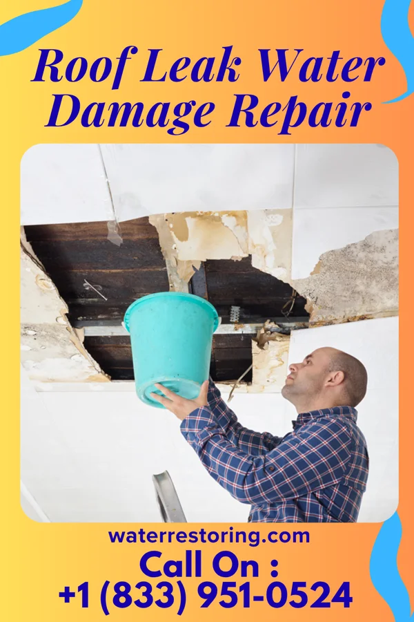 Roof Leak Water Damage Repair in Metaline, WA